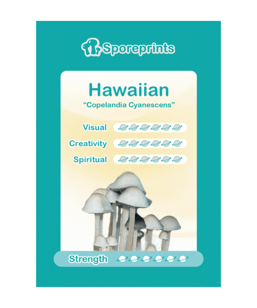 Hawaiian Sporeprint