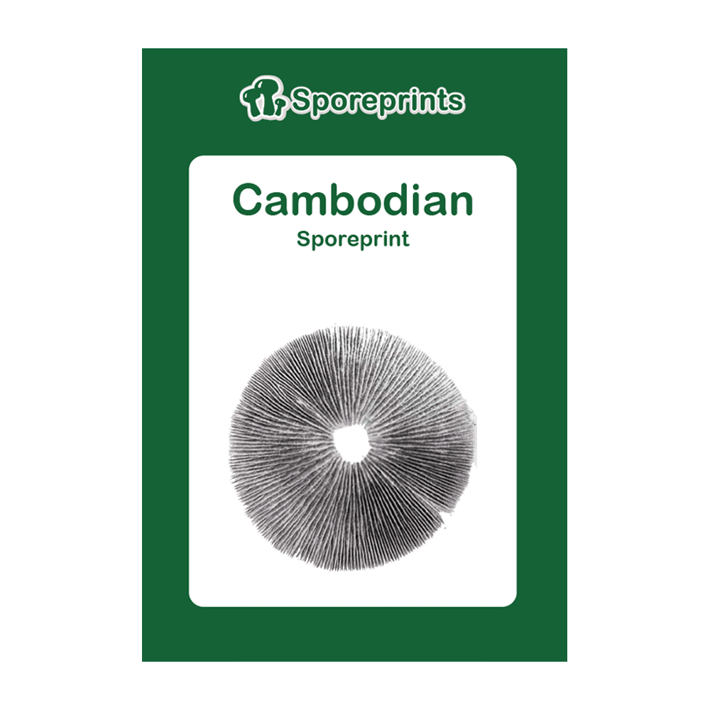 Cambodian Sporeprint - Afbeelding 2