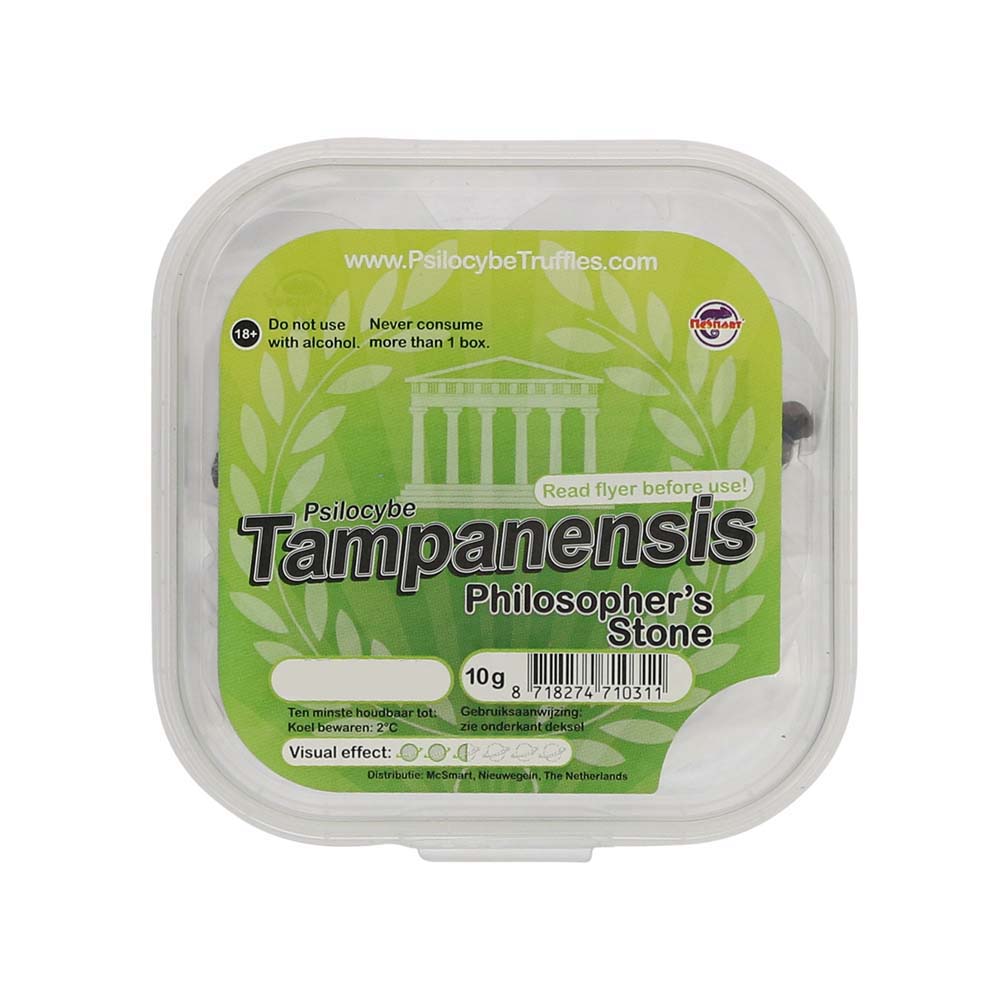 Tampanensis Magic Truffels - Afbeelding 7