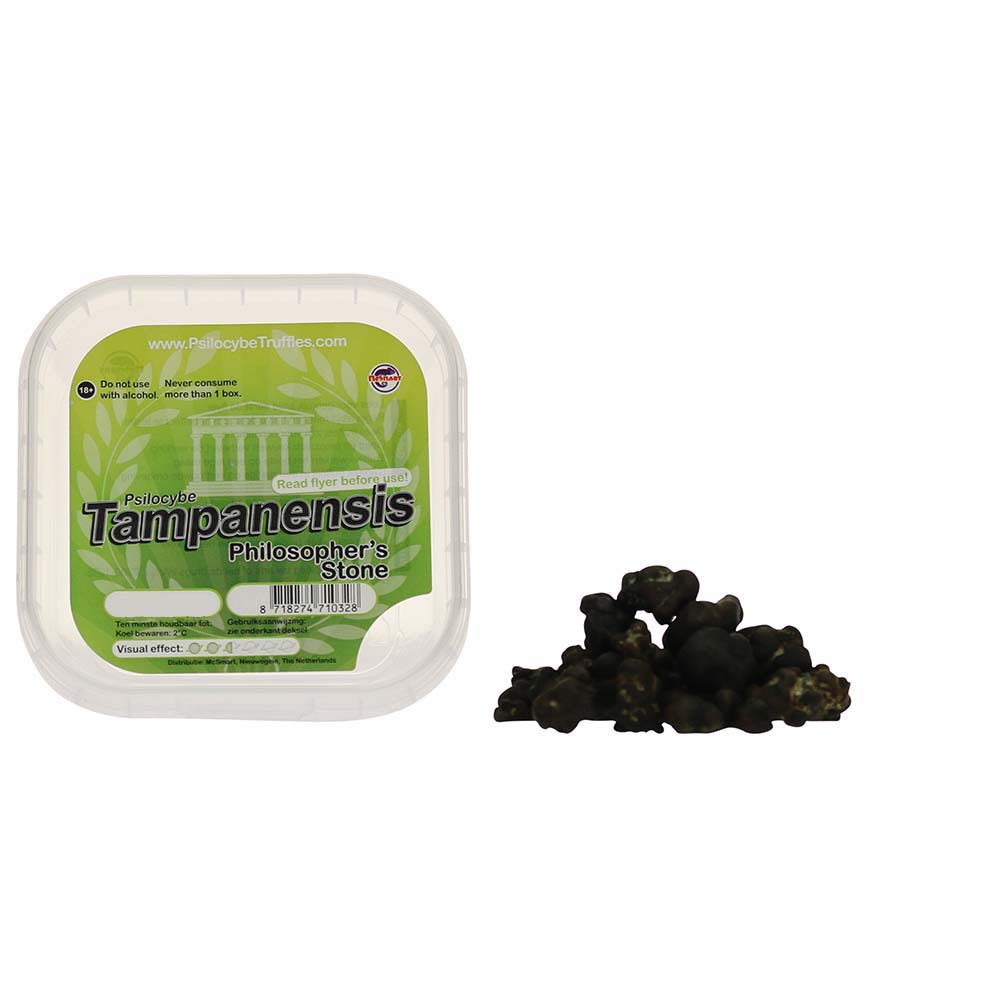 Tampanensis Magic Truffels - Afbeelding 11