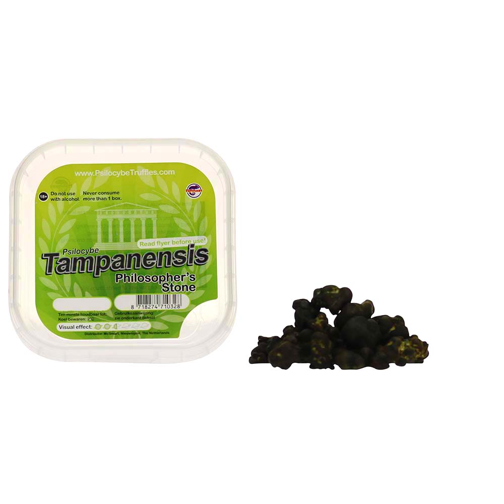 Tampanensis Magic Truffels - Afbeelding 3
