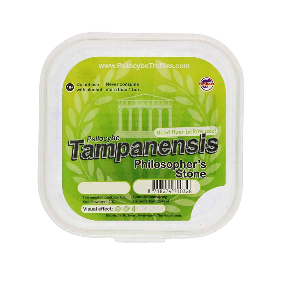 Tampanensis Magic Truffels