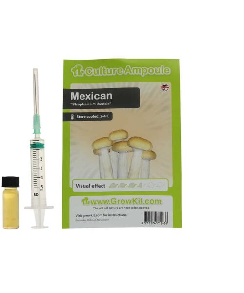 Mexican Sporenspuit (Stropharia Cubensis)