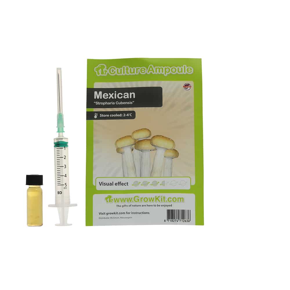Mexican Sporenspuit (Stropharia Cubensis)