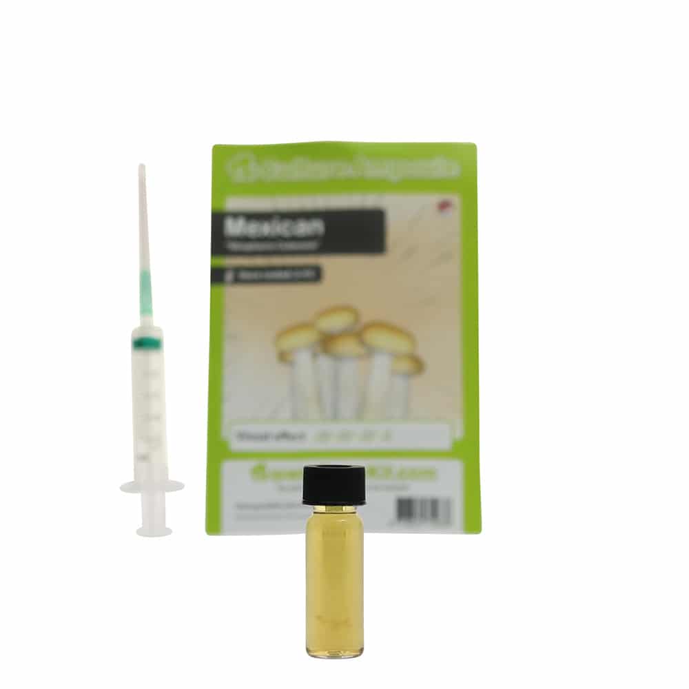 Mexican Sporenspuit (Stropharia Cubensis) - Afbeelding 4