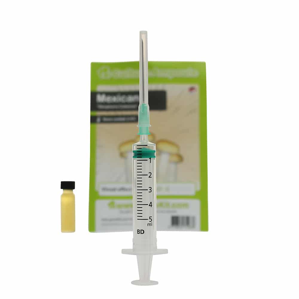 Mexican Sporenspuit (Stropharia Cubensis) - Afbeelding 3