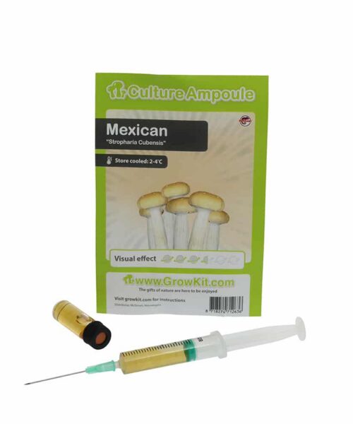 Alternative view of Mexican Sporenspuit (Stropharia Cubensis)