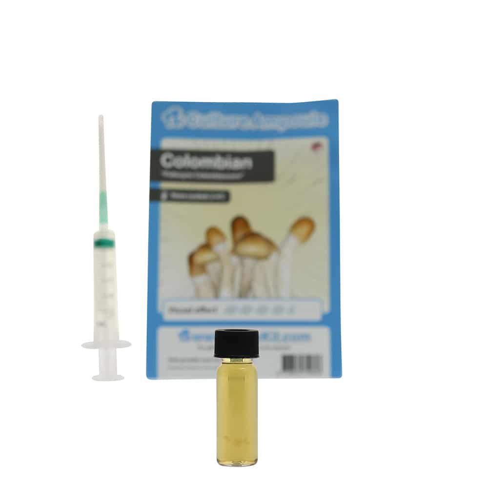 Colombian Sporenspuit (Psilocybe Colombiescens) - Afbeelding 7