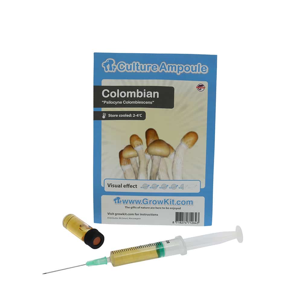 Colombian Sporenspuit (Psilocybe Colombiescens) - Afbeelding 6