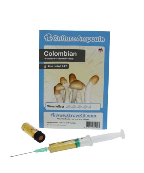 Alternative view of Colombian Sporenspuit (Psilocybe Colombiescens)