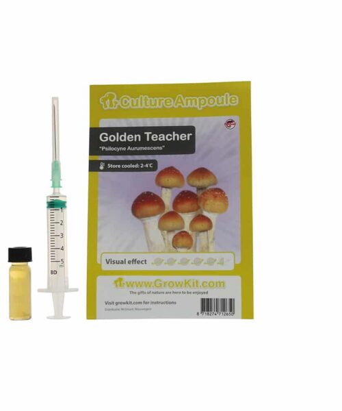 Golden Teacher Sporenspuit (Psilocybe Aurumescens)