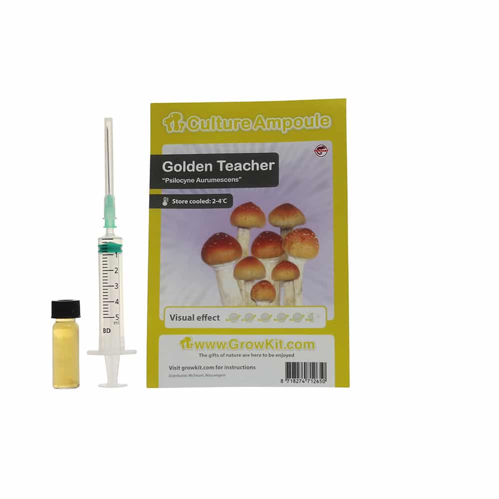 Golden Teacher Sporenspuit (Psilocybe Aurumescens)