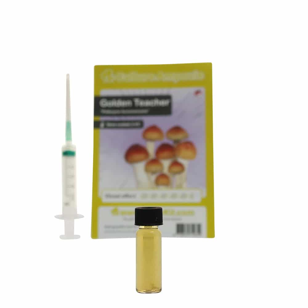 Golden Teacher Sporenspuit (Psilocybe Aurumescens) - Afbeelding 4