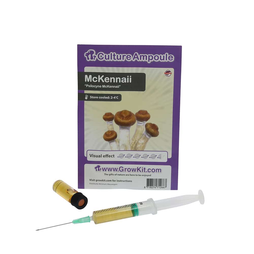 McKennaii Sporenspuit (Psilocybe McKennaii) - Afbeelding 2