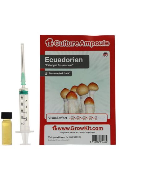 Ecuadorian Sporenspuit (Psilocybe Equaescens)
