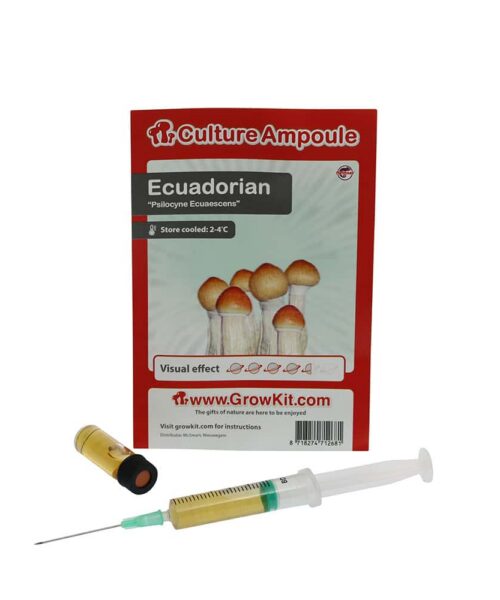 Alternative view of Ecuadorian Sporenspuit (Psilocybe Equaescens)