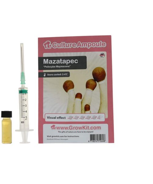 Mazatapec Sporenspuit (Psilocybe Mayiescens)