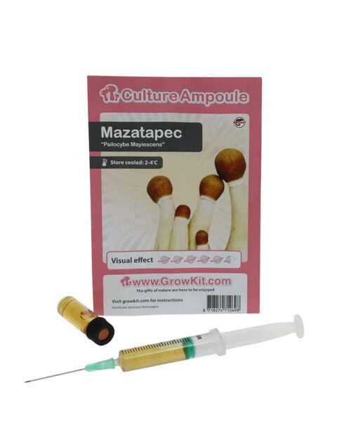 Alternative view of Mazatapec Sporenspuit (Psilocybe Mayiescens)