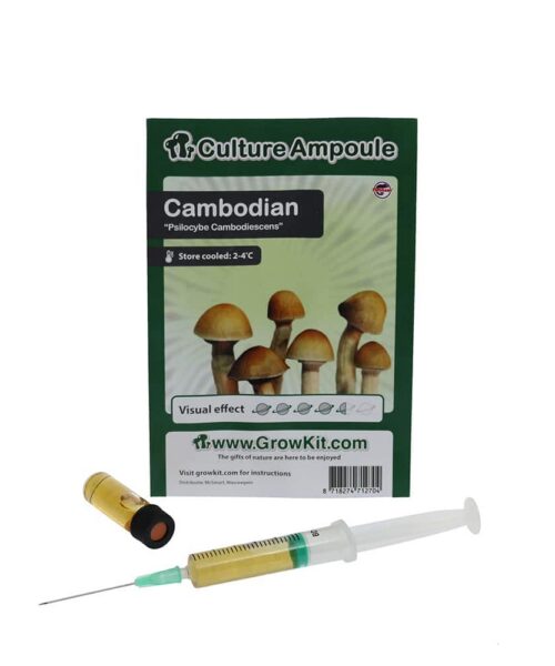 Alternative view of Cambodian Sporenspuit (Psilocybe Cambodiescens)