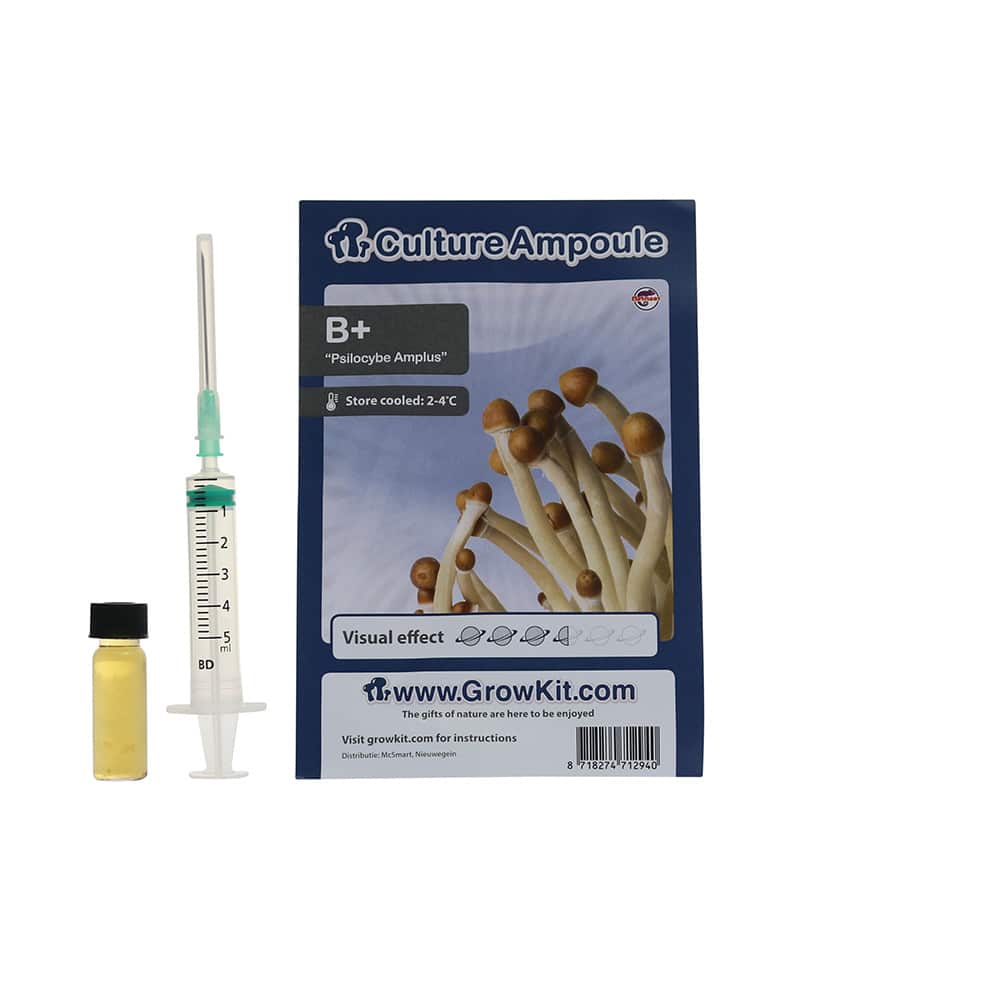 B+ Sporenspuit (Psilocybe Amplus) - Afbeelding 5