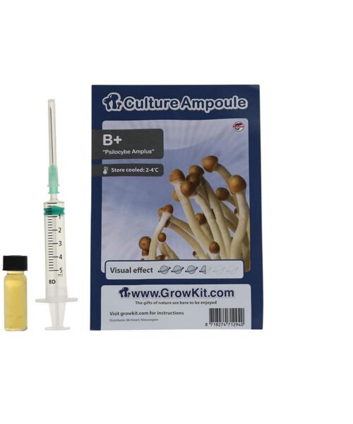 B+ Sporenspuit (Psilocybe Amplus)