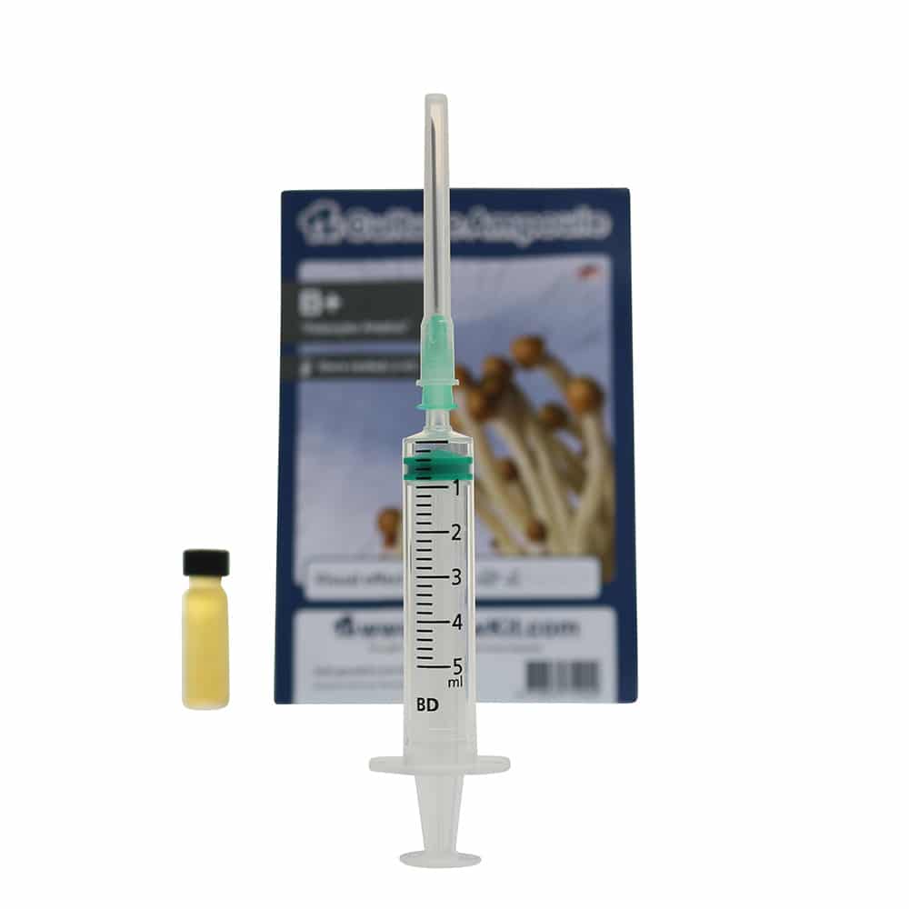 B+ Sporenspuit (Psilocybe Amplus) - Afbeelding 8