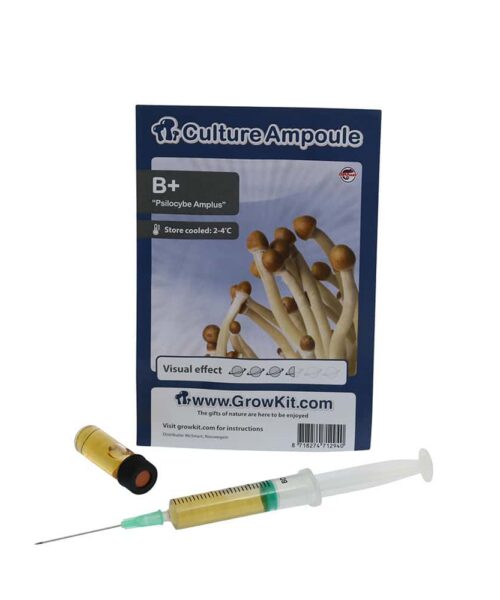 Alternative view of B+ Sporenspuit (Psilocybe Amplus)