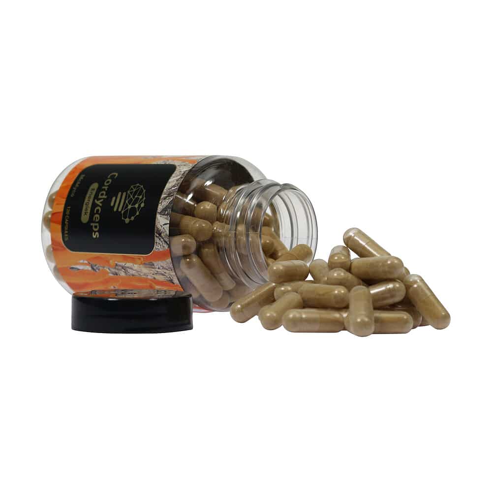 Cordyceps - Afbeelding 4