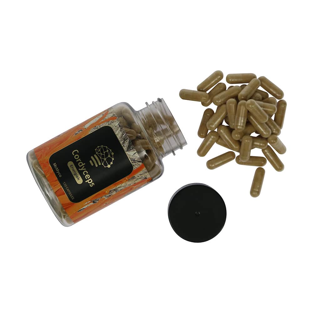 Cordyceps - Afbeelding 5