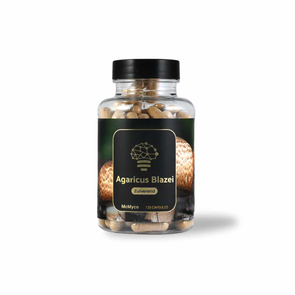 Agaricus Blazei - Afbeelding 3