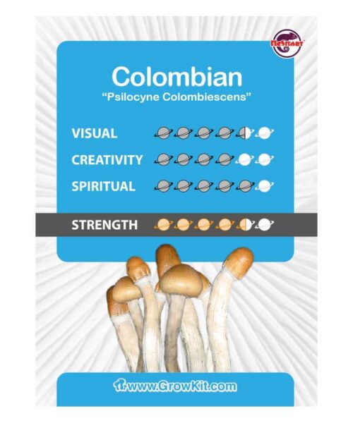 Alternative view of Colombian Paddo’s Kweekset