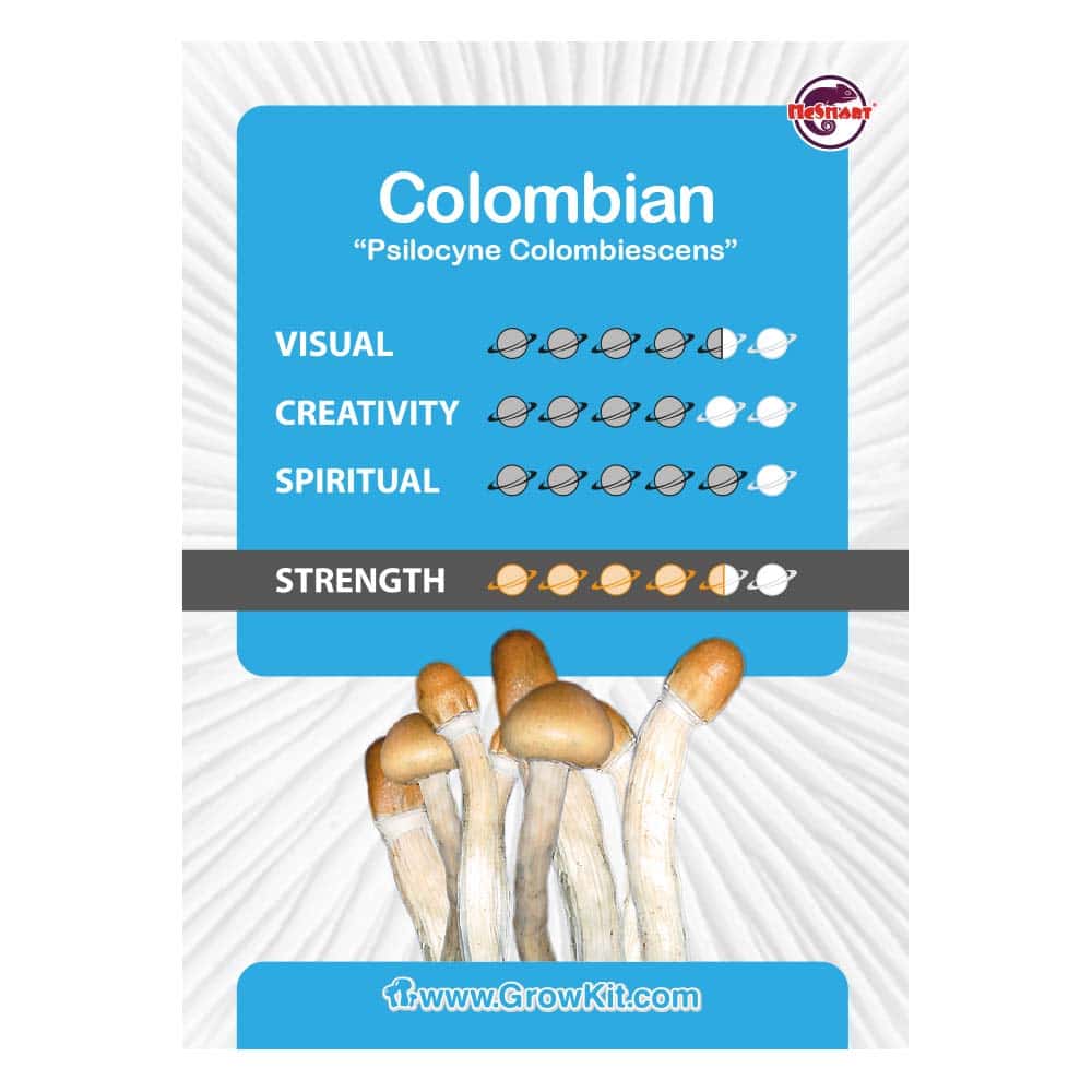 Colombian Paddo’s Kweekset - Afbeelding 2