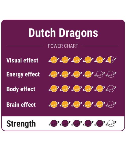 Alternative view of Dutch Dragons Magic Truffels