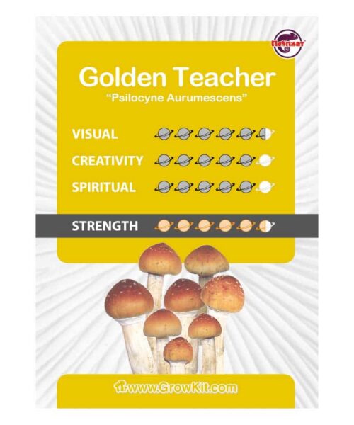 Alternative view of Golden Teacher Paddo’s Kweekset