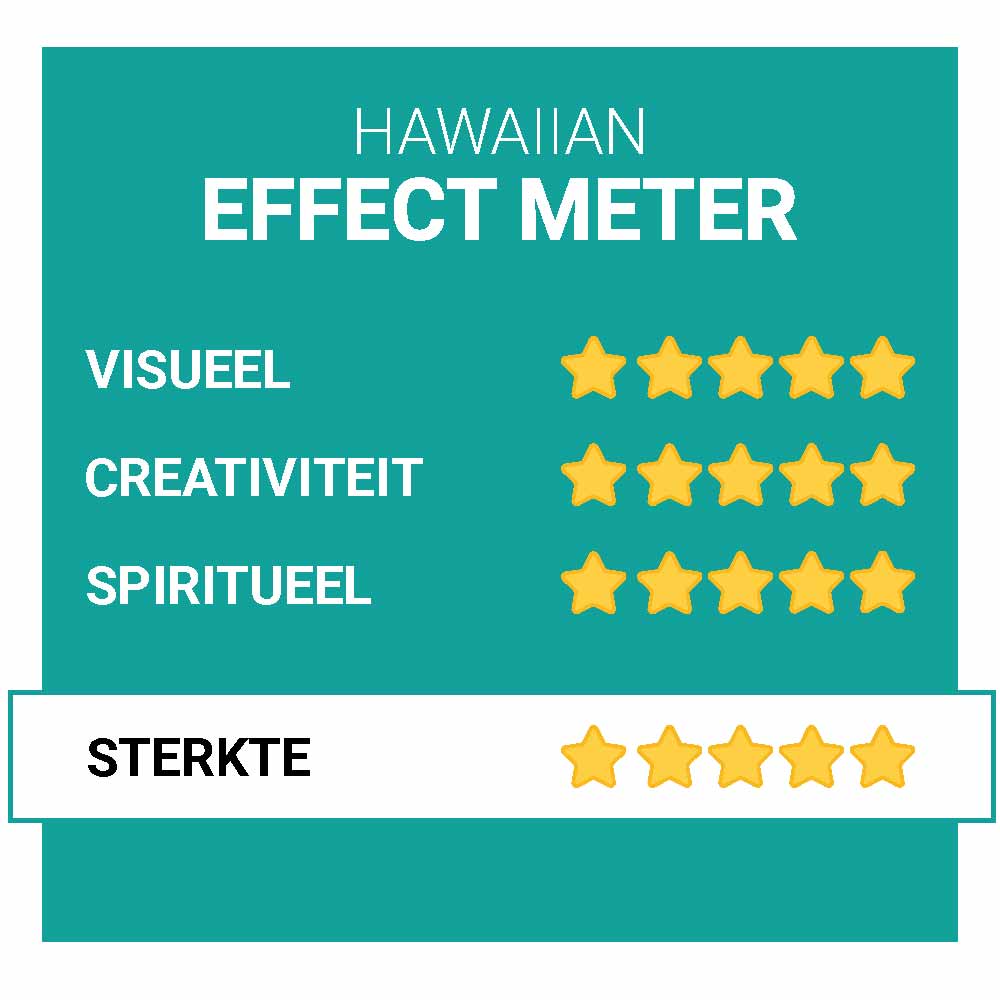 Hawaiian Copelandia Paddo’s Kweekset - Afbeelding 2
