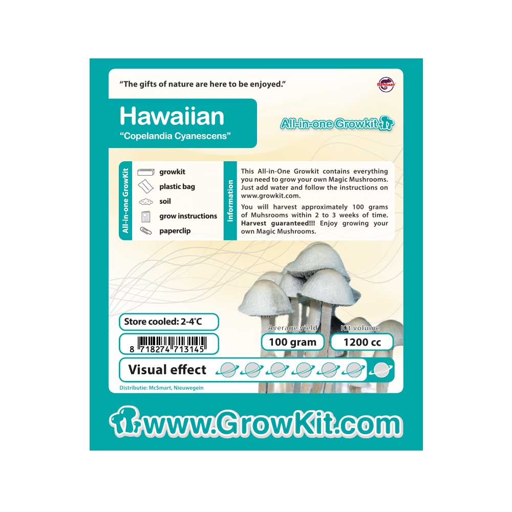 Hawaiian Copelandia Paddo’s Kweekset - Afbeelding 4
