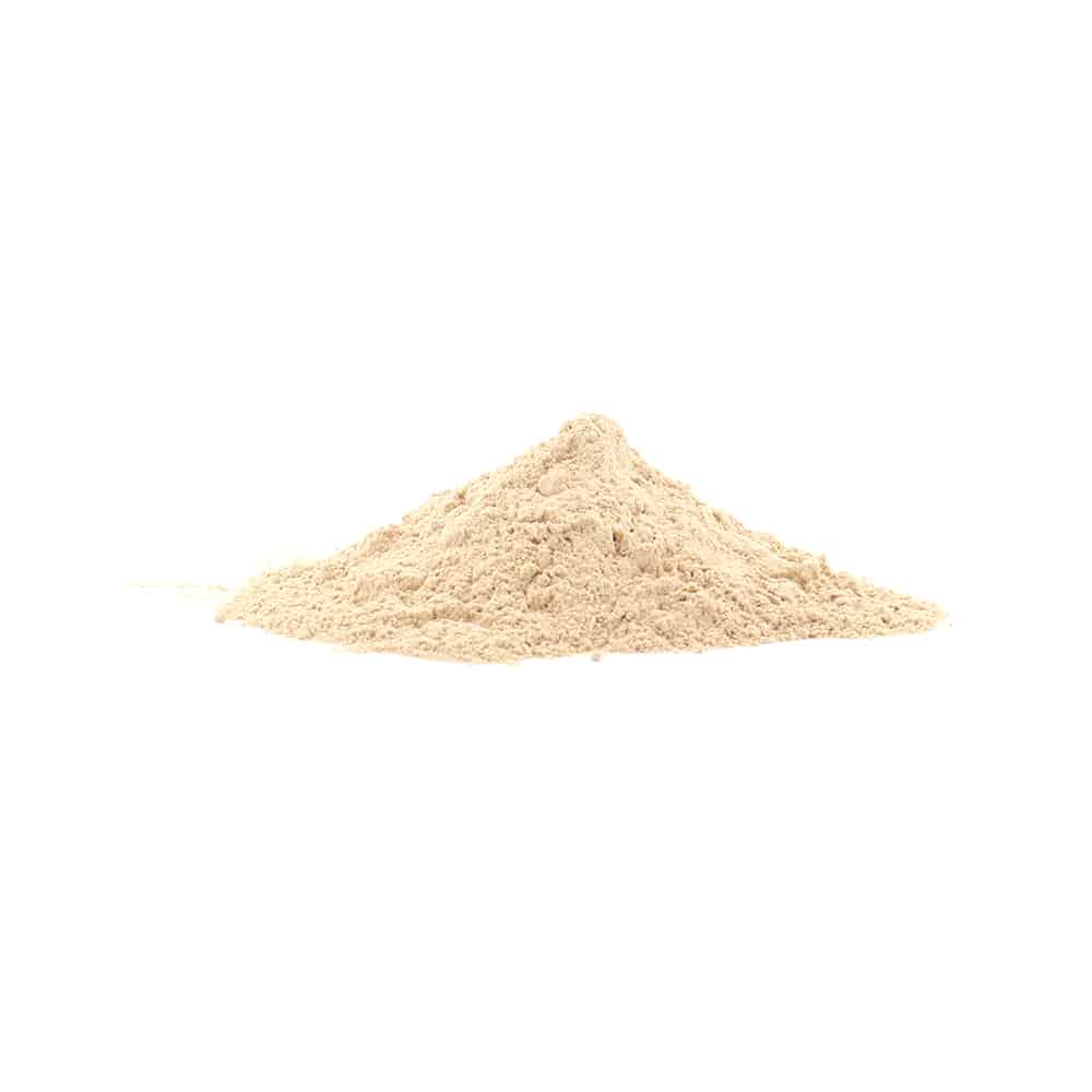 Lion's Mane - 200 gram poeder - Afbeelding 2
