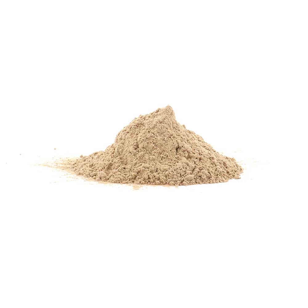 Maitake - 200 gram poeder - Afbeelding 2