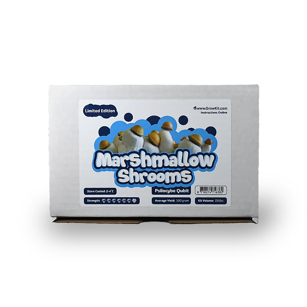 Marshmallow Shrooms Growkit - Afbeelding 3