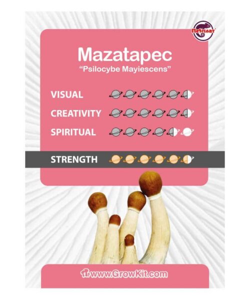 Alternative view of Mazatapec Paddo’s Kweekset
