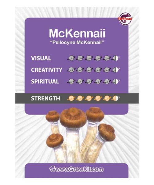 Alternative view of McKennaii Paddo’s Kweekset