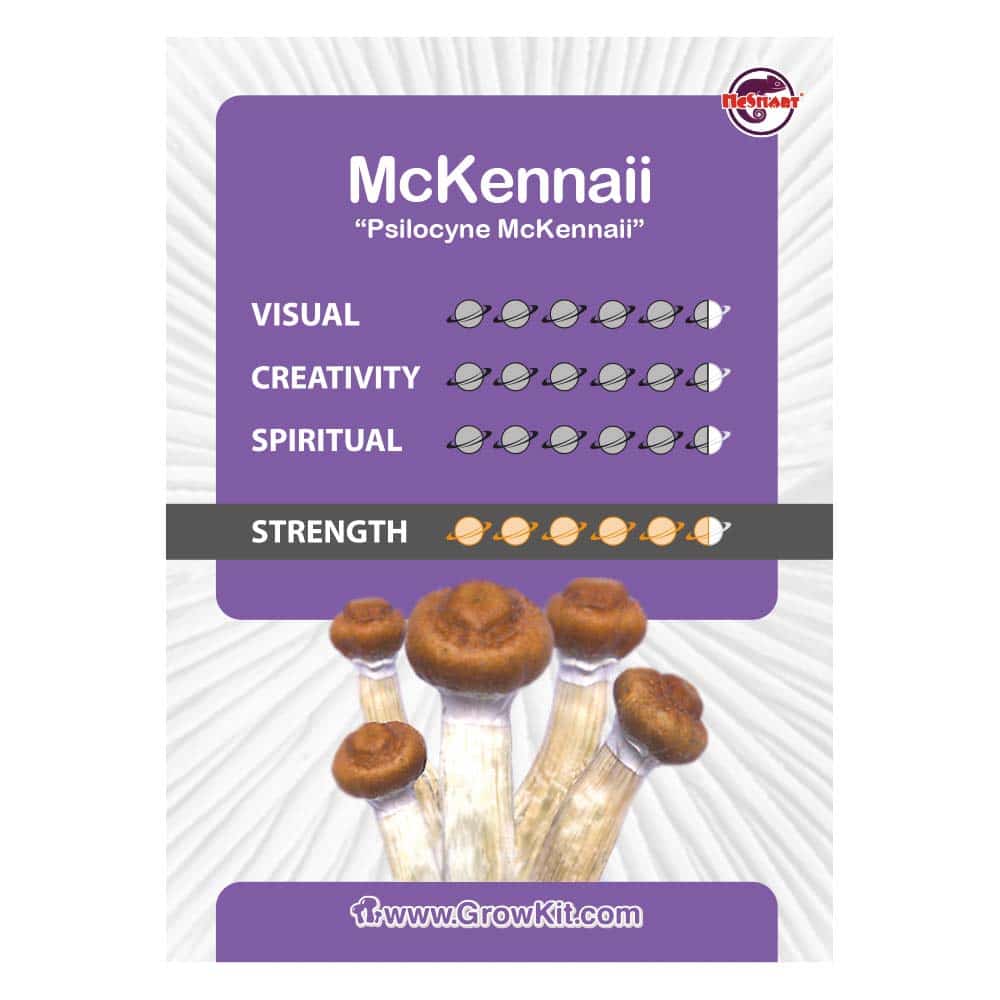 McKennaii Paddo’s Kweekset - Afbeelding 2