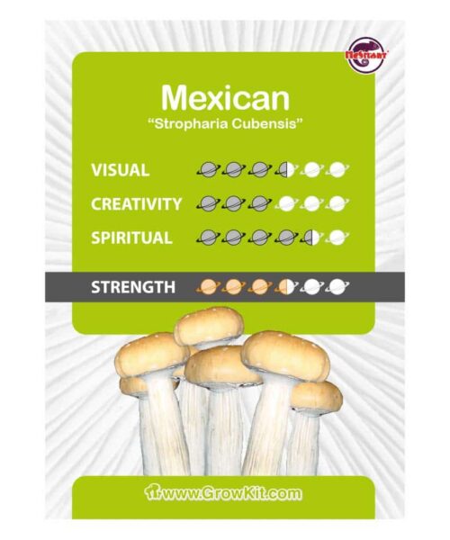 Alternative view of Mexican Paddo’s Kweekset