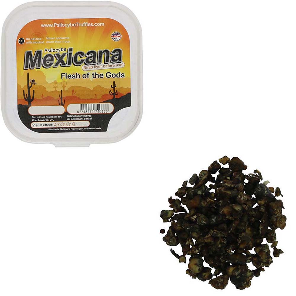 Tampanensis Magic Truffels - Afbeelding 18
