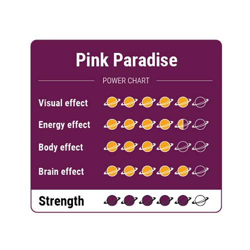 Pink Paradise Magic Truffels - Afbeelding 2