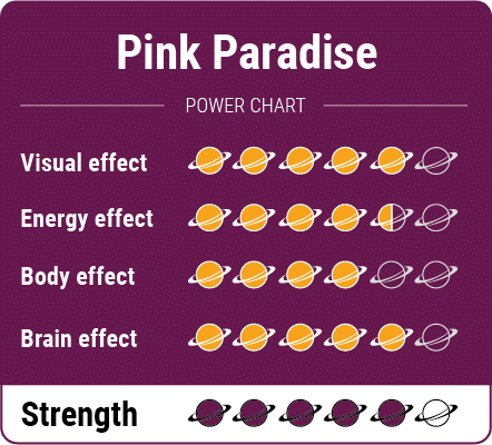Pink Paradise Magic Truffels - Afbeelding 7