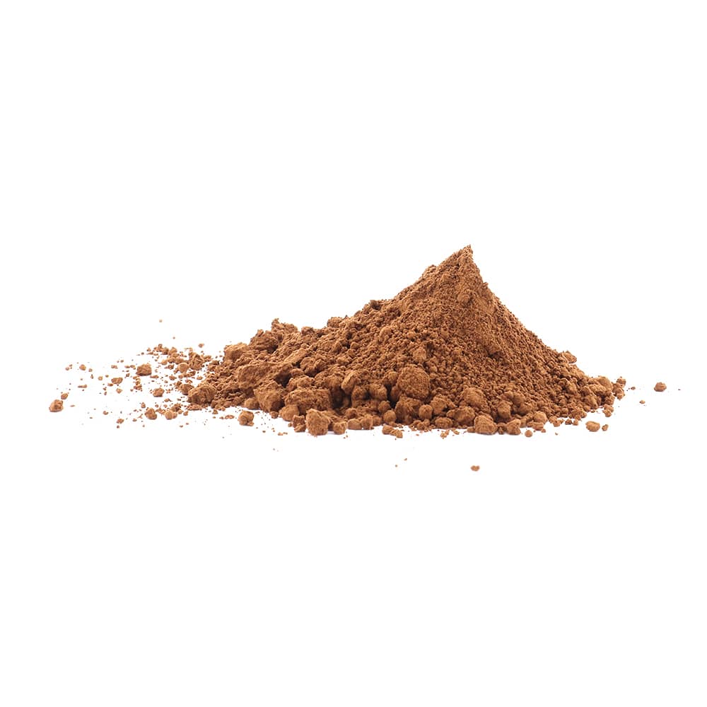 Reishi - 200 gram poeder - Afbeelding 2