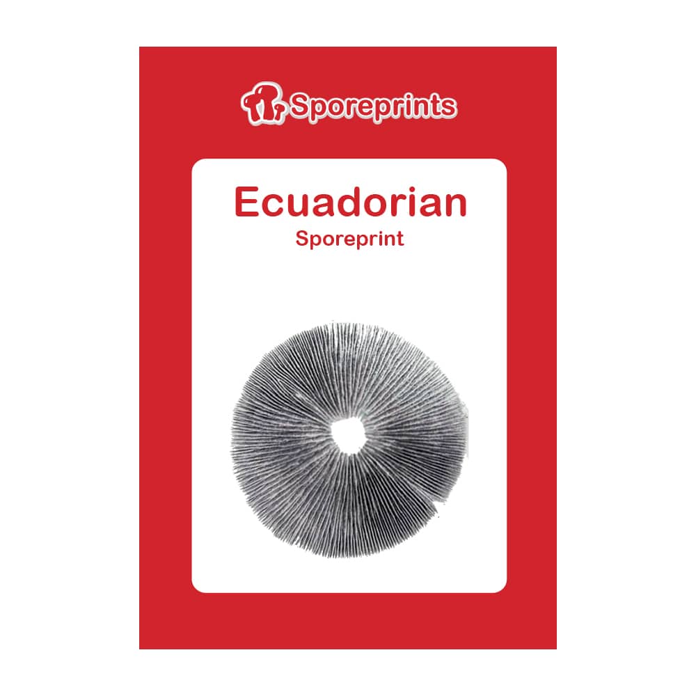 Ecuadorian Sporeprint - Afbeelding 2