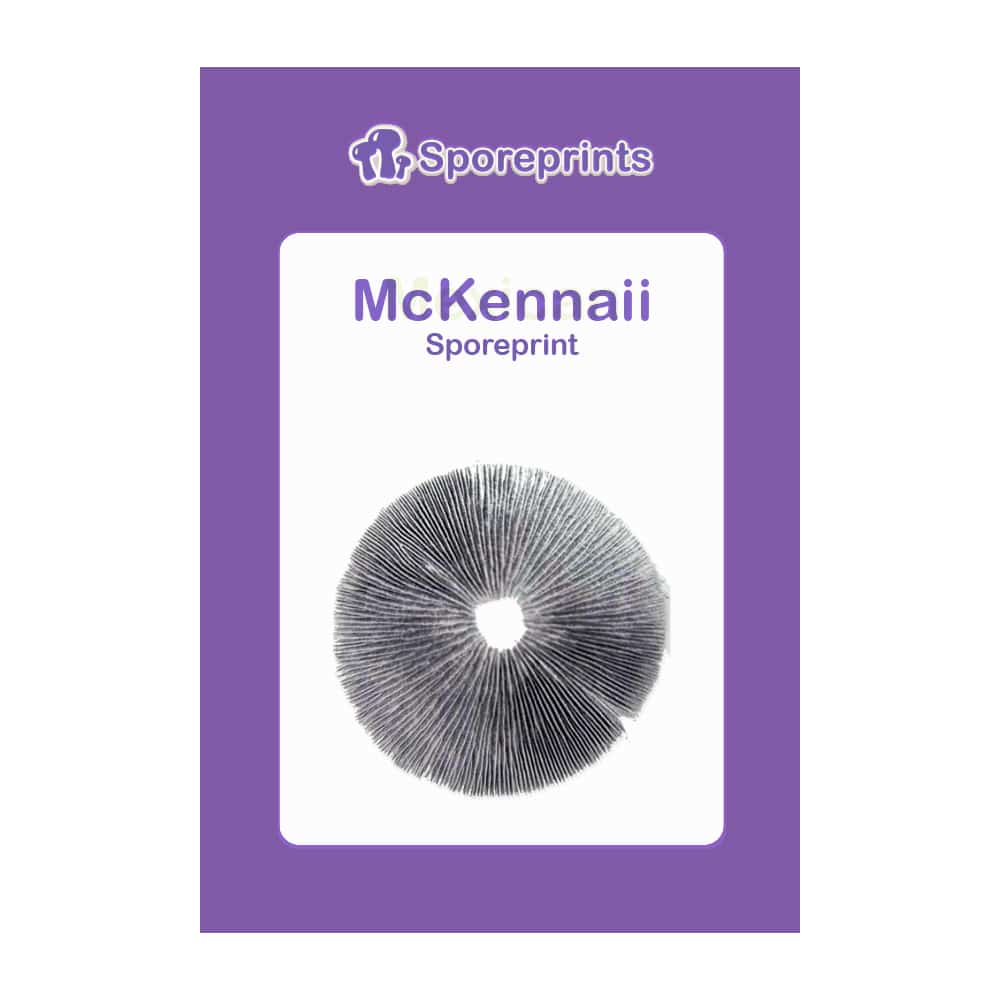McKennaii Sporeprint - Afbeelding 2