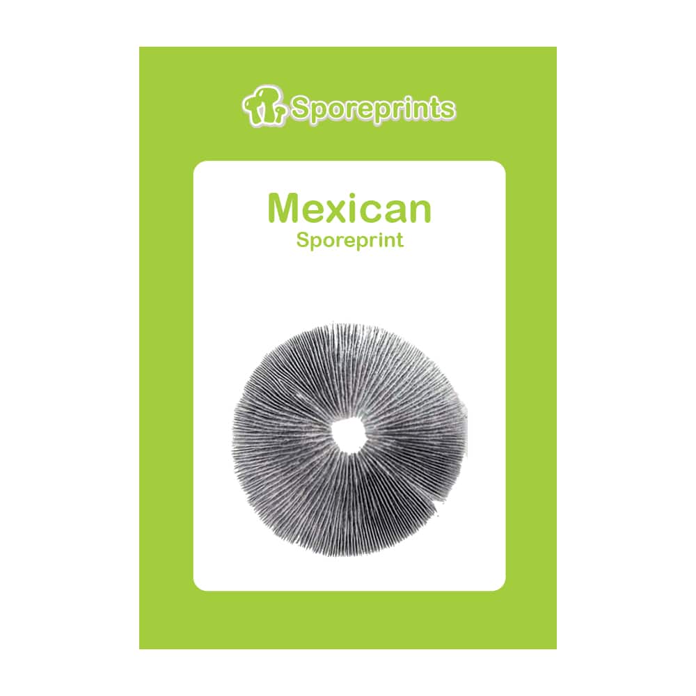 Mexican Sporeprint - Afbeelding 2